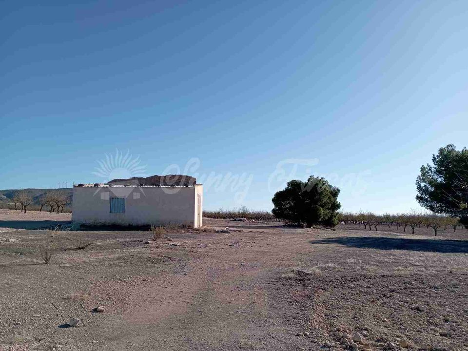 Finca i Caudete, Albacete - foto 4